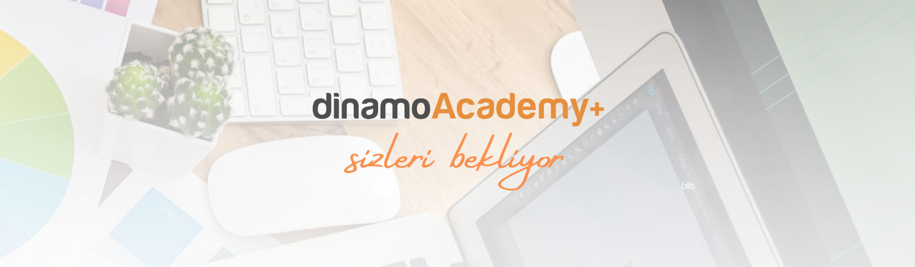 dinamoacademy